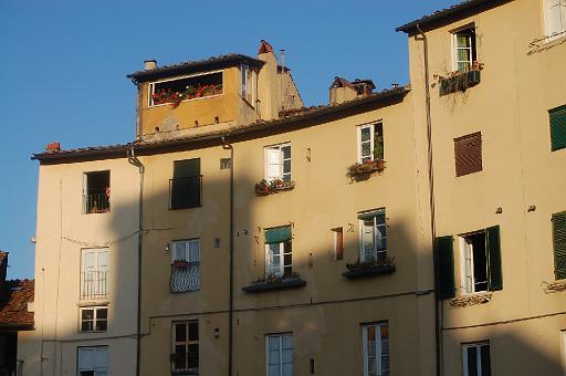 DSC_1290